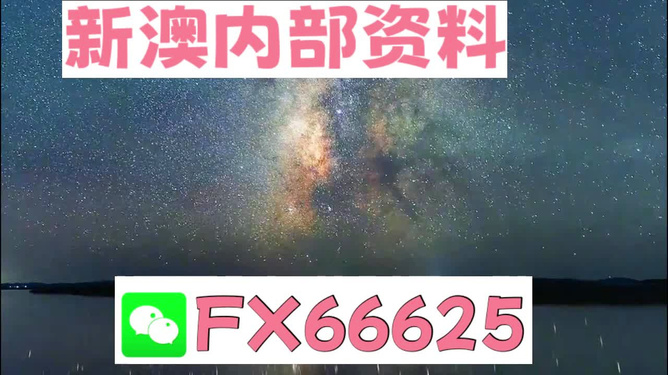 新澳天天彩免费资料大全特色|精选解释解析落实_高端版250.320