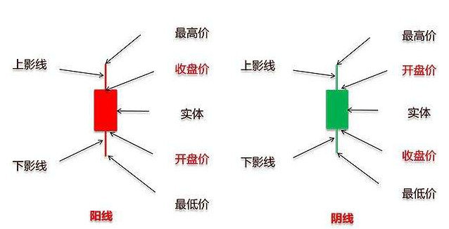 大力马线主线，区别与特点解析