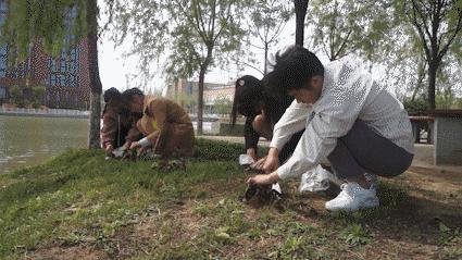 北京奥林匹克公园大妈，活力与魅力的独特展现