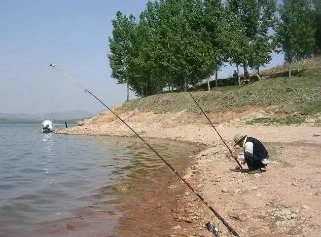 海竿线主线大力马，探索海洋钓鱼的极致体验