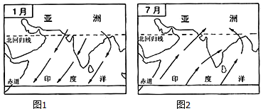 鱼线大力马主线路亚专用，探索与解析