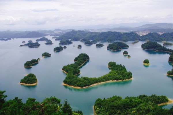 长乐千岛湖蒸汽鱼，美食之旅与地理位置的魅力结合