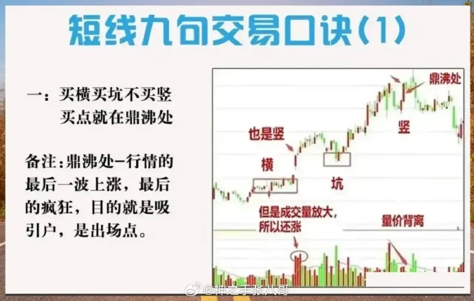 能用大力马线做主线吗？——一种优质选择还是潜在风险？