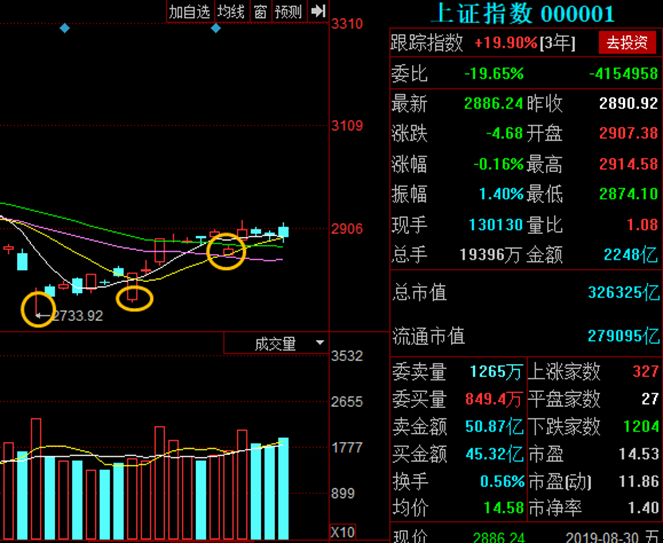 探索九编大力马鱼线成品主线，性能、应用与未来趋势