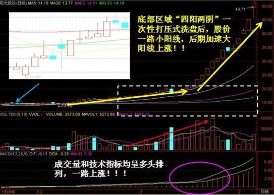 大力马4号线台钓，技巧与体验分享