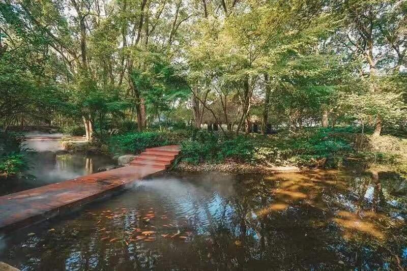 千岛湖旅游汽车站地址详解，探寻美丽湖景的出发点