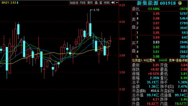 大力马海竿鱼线品牌，探索优质渔线领域的佼佼者